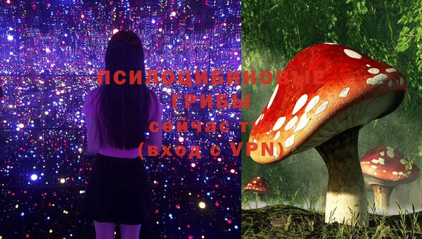 МДПВ Арсеньев