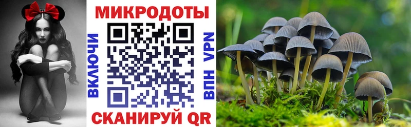 Галлюциногенные грибы ЛСД  Судак 